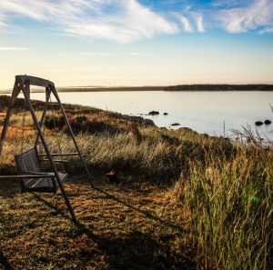 Landscape photos can work great for your web content.