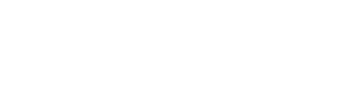 Washington Auto Show logo