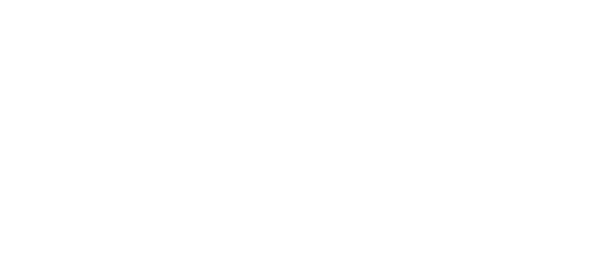 Everest Logo