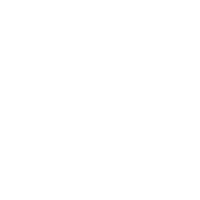 Play Video Icon
