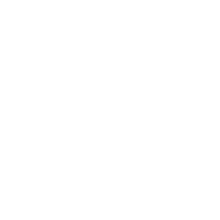 Search engine icon
