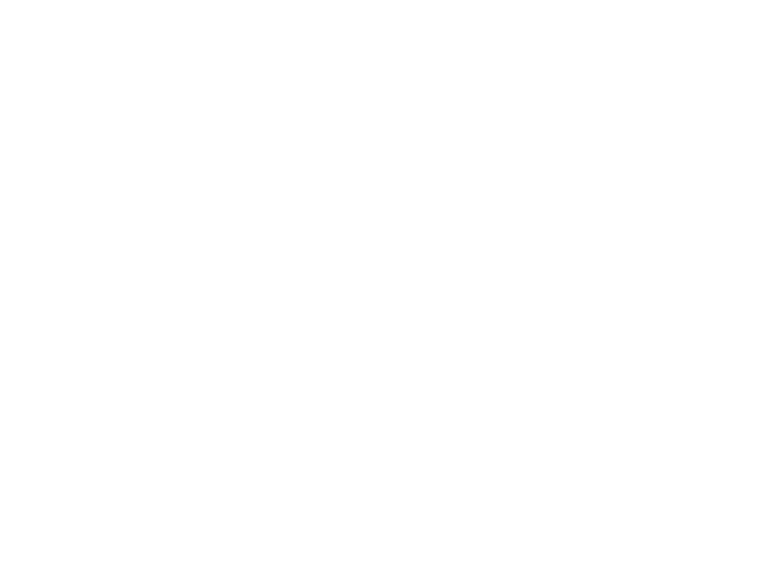 Vertex Aerospace Logo