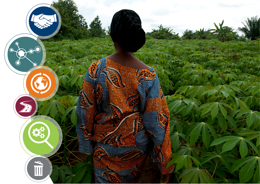 Global Harvest Initiative impact