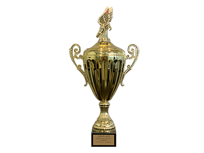Award-rgr - ironistic Gold trophy cup awarded to ironistic - ironistic