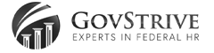 GovStrive logo